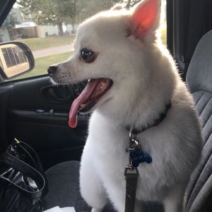 Meet your Posher, Jordyn